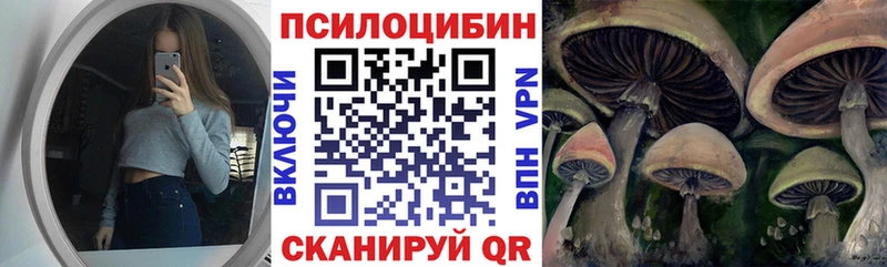 даркнет сайт Балашиха Псилоцибиновые грибы GOLDEN TEACHER
