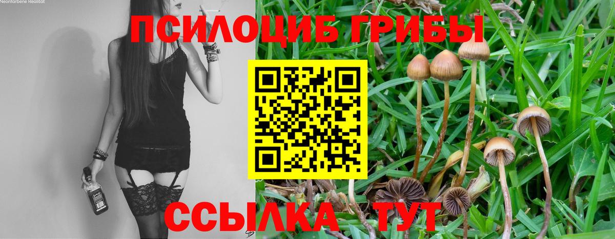 Псилоцибиновые грибы мухоморы  Вход с VPN  Балашиха 